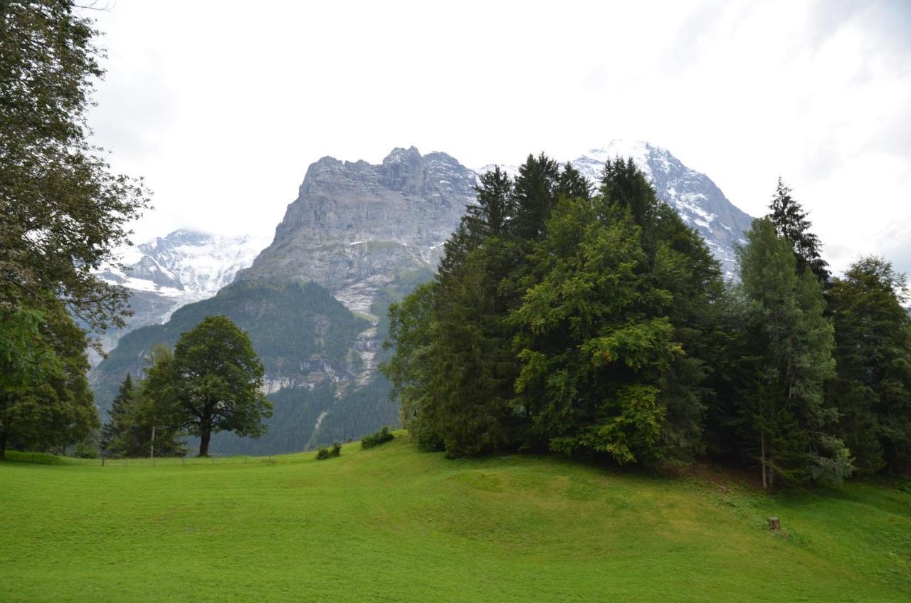 Apartment Grindelwaldgletscher - Griwa Rent Ag Екстериор снимка
